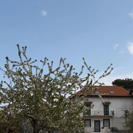 Il Ciliegio Ospitalita Diffusa Holiday home Agerola
